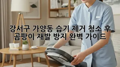 강서구 가양동 습기 제거 청소 후 곰팡이 재발 방지 완벽 가이드